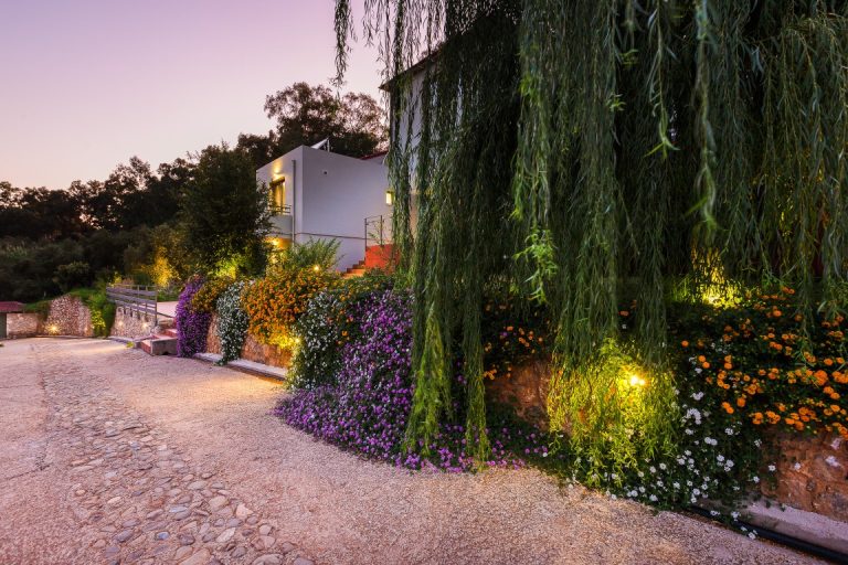 Villa complex for sale in Crete - Garden