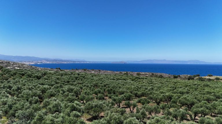 Villa for sale in Akrotiri Chania Crete - Views