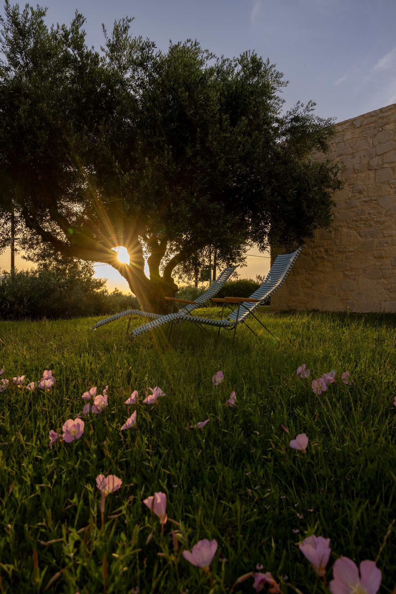 Villas in Plaka Apokoronas Chania Crete for sale