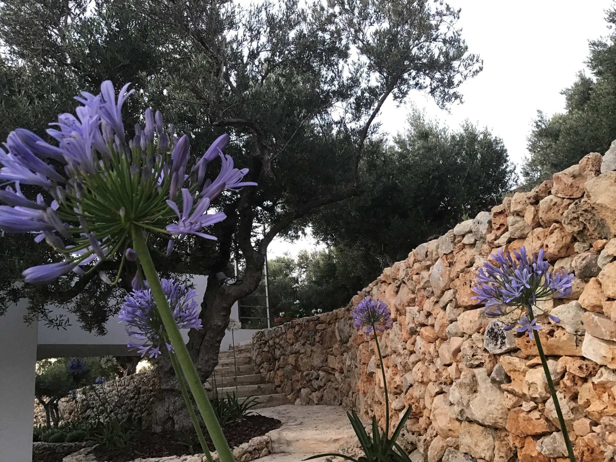 Villas in Plaka Apokoronas Chania Crete for sale
