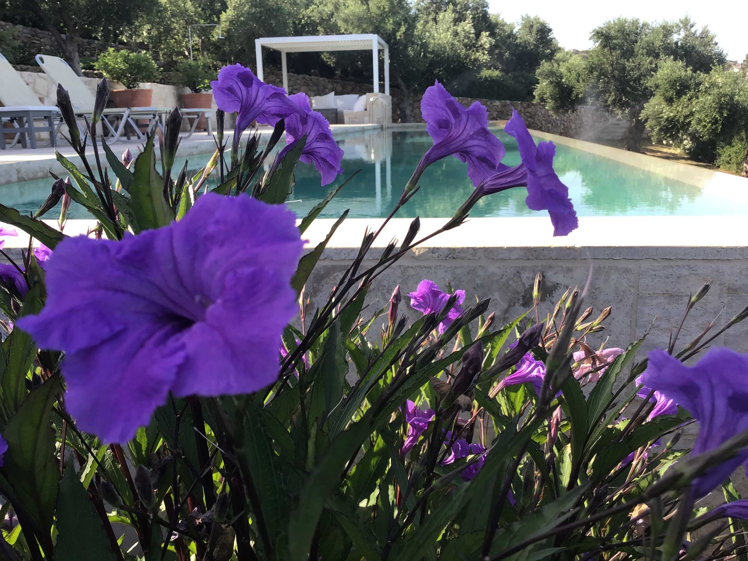 Villas in Plaka Apokoronas Chania Crete for sale